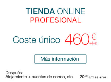 450 euros diseño de tiendas online Profesional en Azuqueca y Alcalá de Henares