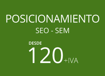 Posicionamiento Web